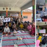 Kkn UTM 31