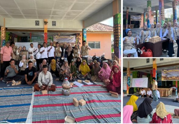 Kkn UTM 31